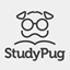 StudyPug Online Math Help favicon