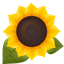 Sunflower favicon
