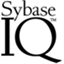 Sybase IQ favicon