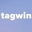 Tagwin favicon