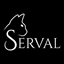 The Serval Project favicon