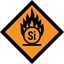 THE SILICOIN