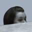Timepeeking
