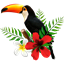 Toucan Tasks