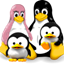 Tux Typing
