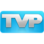 TVPaint Animation favicon