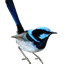 VideoConverter (by BTone)