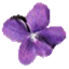 Violet UML Editor