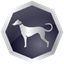 Sighthound Video favicon
