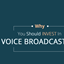 Voice Broadcasting favicon